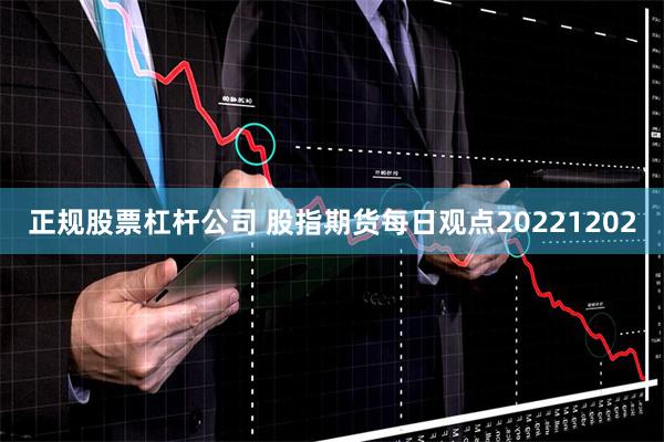 正规股票杠杆公司 股指期货每日观点20221202