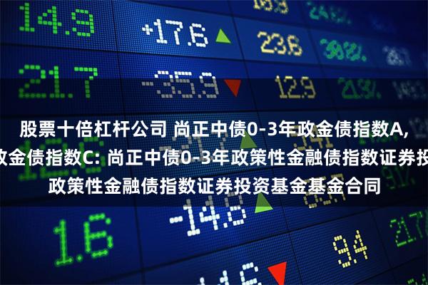 股票十倍杠杆公司 尚正中债0-3年政金债指数A,尚正中债0-3年政金债指数C: 尚正中债0-3年政策性金融债指数证券投资基金基金合同