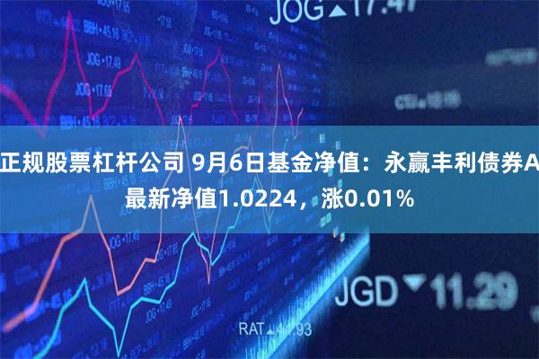 正规股票杠杆公司 9月6日基金净值：永赢丰利债券A最新净值1.0224，涨0.01%