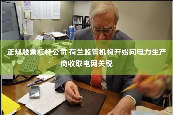 正规股票杠杆公司 荷兰监管机构开始向电力生产商收取电网关税