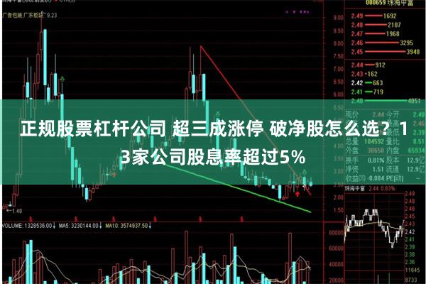 正规股票杠杆公司 超三成涨停 破净股怎么选？13家公司股息率超过5%