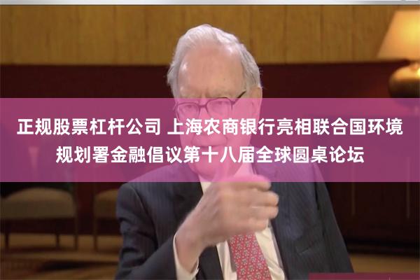 正规股票杠杆公司 上海农商银行亮相联合国环境规划署金融倡议第十八届全球圆桌论坛